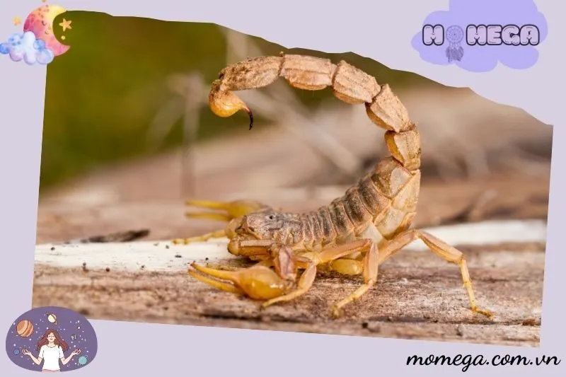 cac-tinh-huong-pho-bien-khi-nam-mo-thay-bo-cap-va-y-nghia-cua-chung