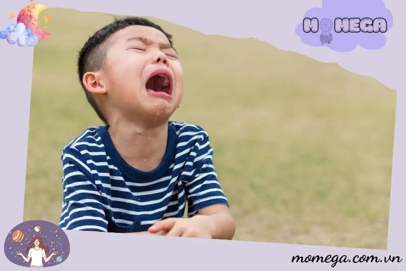 giai-ma-cac-giac-mo-thay-khoc-trong-nhung-tinh-huong-cu-the