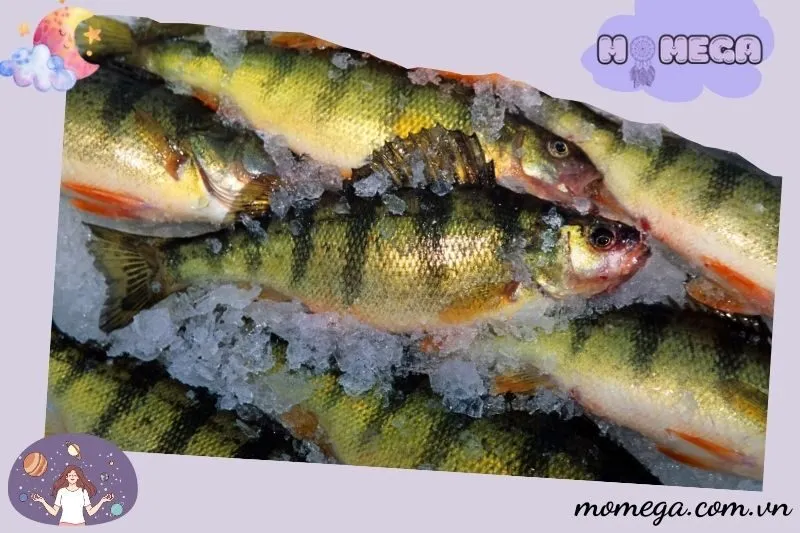 giai-ma-cac-tinh-huong-cu-the-khi-mo-thay-ca-ro