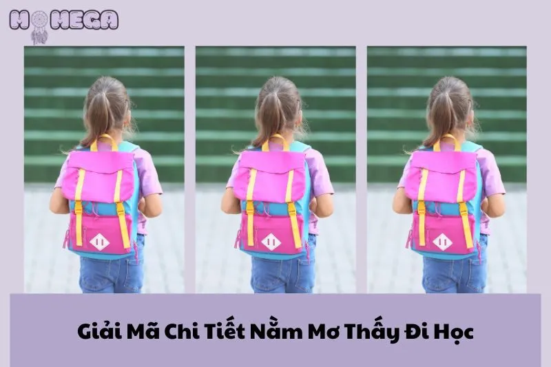 giai-ma-chi-tiet-nam-mo-thay-di-hoc-y-nghia-va-diem-bao