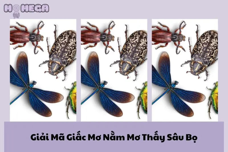 giai-ma-giac-mo-nam-mo-thay-sau-bo-y-nghia-va-thong-diep-tu-tiem-thuc