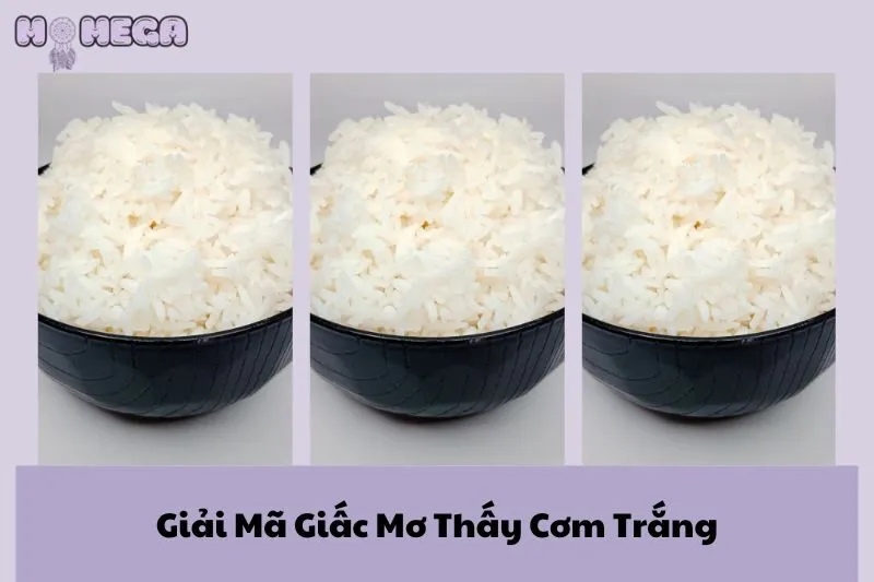 giai-ma-giac-mo-thay-com-trang-y-nghia-va-diem-bao-chi-tiet