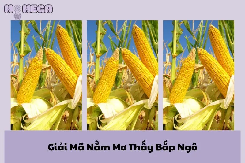 giai-ma-nam-mo-thay-bap-ngo-thanh-cong-tai-loc-va-canh-bao