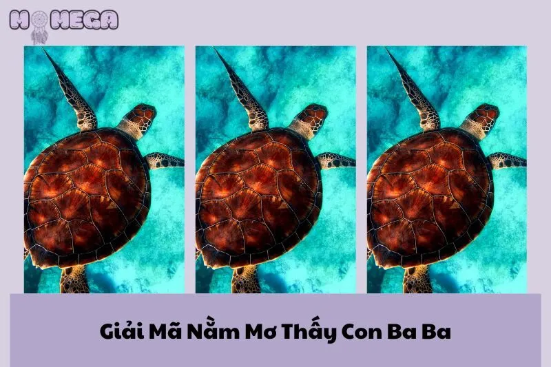 giai-ma-nam-mo-thay-con-ba-ba-diem-bao-may-man-tai-loc