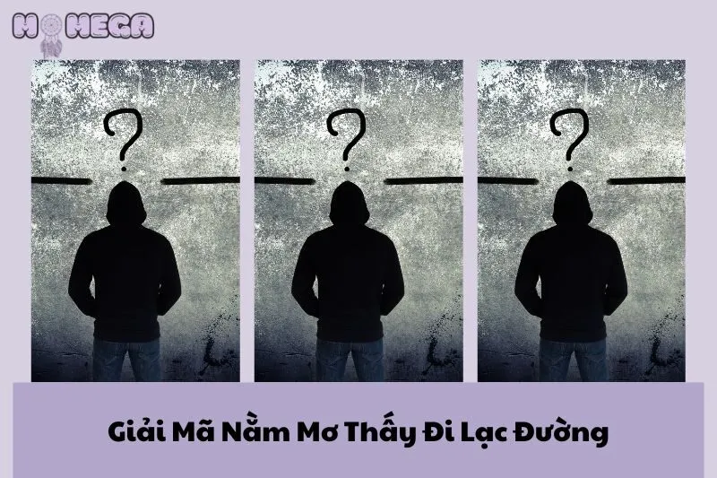 giai-ma-nam-mo-thay-di-lac-duong-y-nghia-va-diem-bao-chi-tiet
