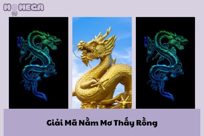 giai-ma-nam-mo-thay-rong-bi-mat-diem-bao-va-y-nghia-sau-sac