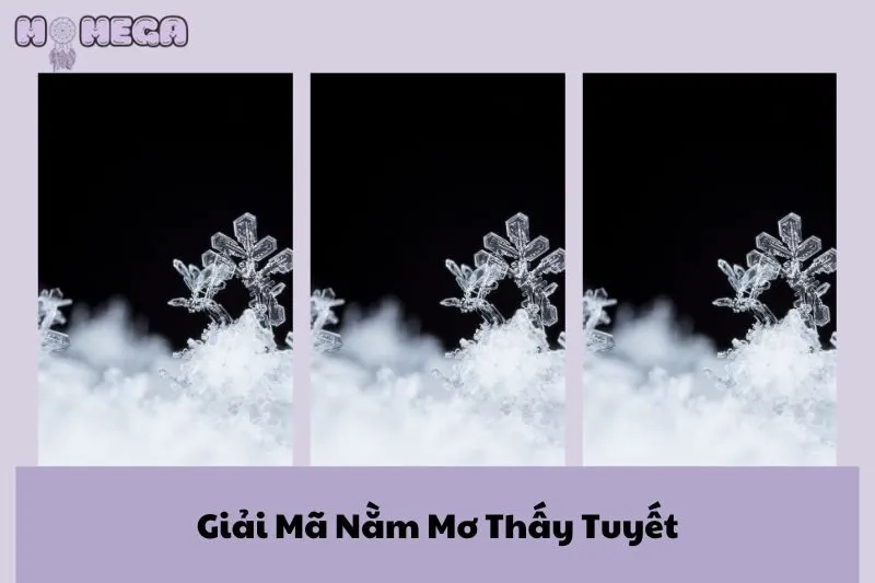 giai-ma-nam-mo-thay-tuyet-diem-bao-tot-xau-va-y-nghia-sau-xa