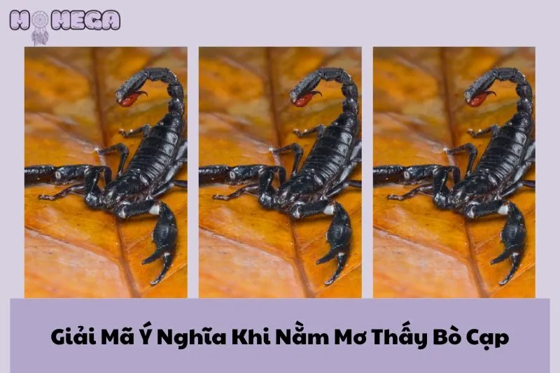 giai-ma-y-nghia-khi-nam-mo-thay-bo-cap-loi-canh-bao-may-man