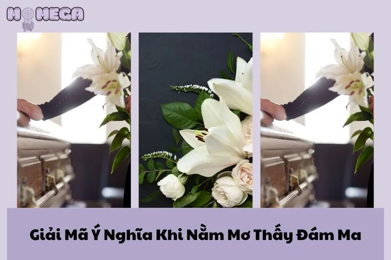 giai-ma-y-nghia-khi-nam-mo-thay-dam-ma-diem-lanh-hay-xau