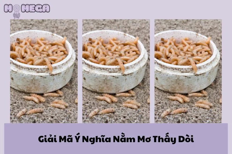 giai-ma-y-nghia-nam-mo-thay-doi-tam-linh-va-diem-bao-cuoc-song