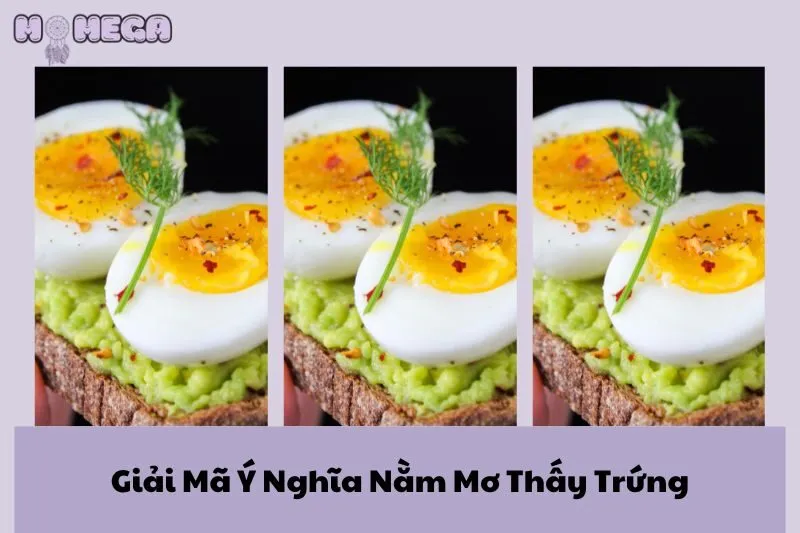 giai-ma-y-nghia-nam-mo-thay-trung-dau-hieu-va-diem-bao-chi-tiet