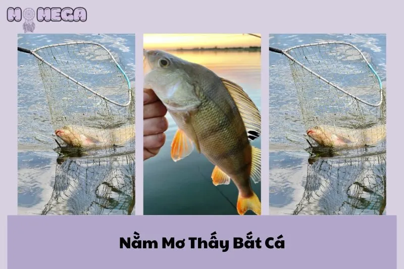 nam-mo-thay-bat-ca-giai-ma-y-nghia-va-tac-dong-cuoc-song