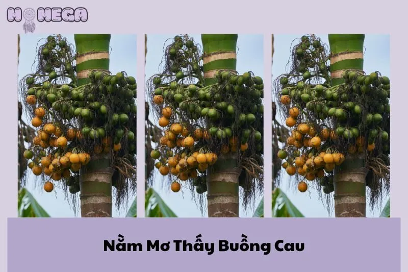nam-mo-thay-buong-cau-diem-bao-tinh-duyen-su-nghiep-va-y-nghia-sau-sac