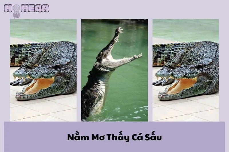 nam-mo-thay-ca-sau-diem-bao-nguy-hiem-hay-co-hoi