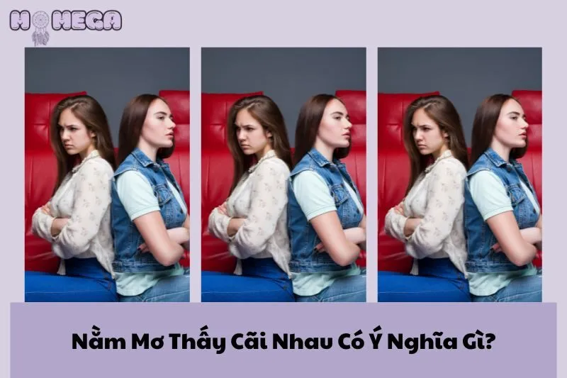 nam-mo-thay-cai-nhau-co-y-nghia-gi-giai-ma-diem-bao-cua-giac-mo