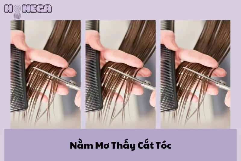 nam-mo-thay-cat-toc-giai-ma-y-nghia-va-diem-bao-day-du-nhat