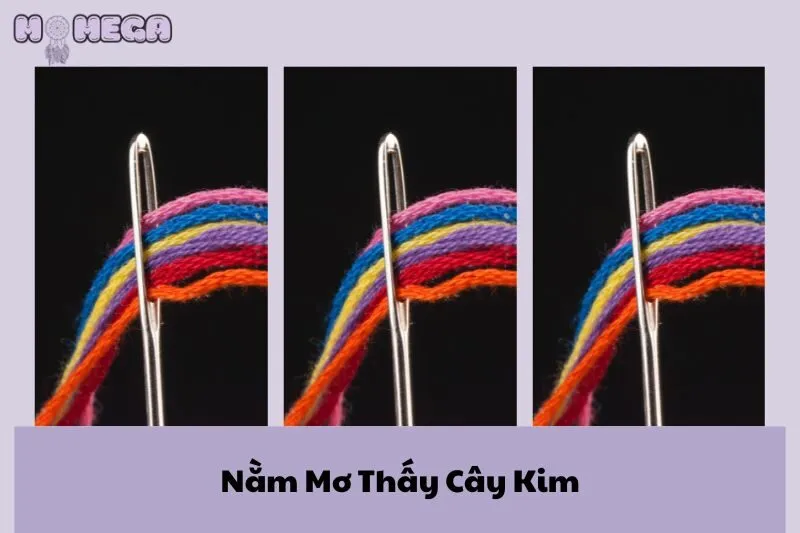 nam-mo-thay-cay-kim-giai-ma-diem-bao-bi-an-trong-giac-mo
