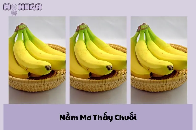 nam-mo-thay-chuoi-giai-ma-y-nghia-va-diem-bao-thu-vi