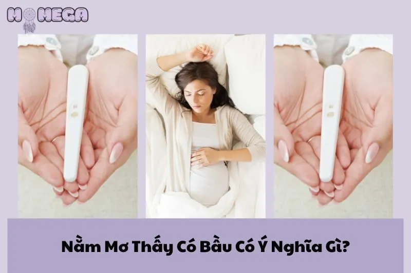 nam-mo-thay-co-bau-co-y-nghia-gi-giai-ma-giac-mo-va-diem-bao-may-man