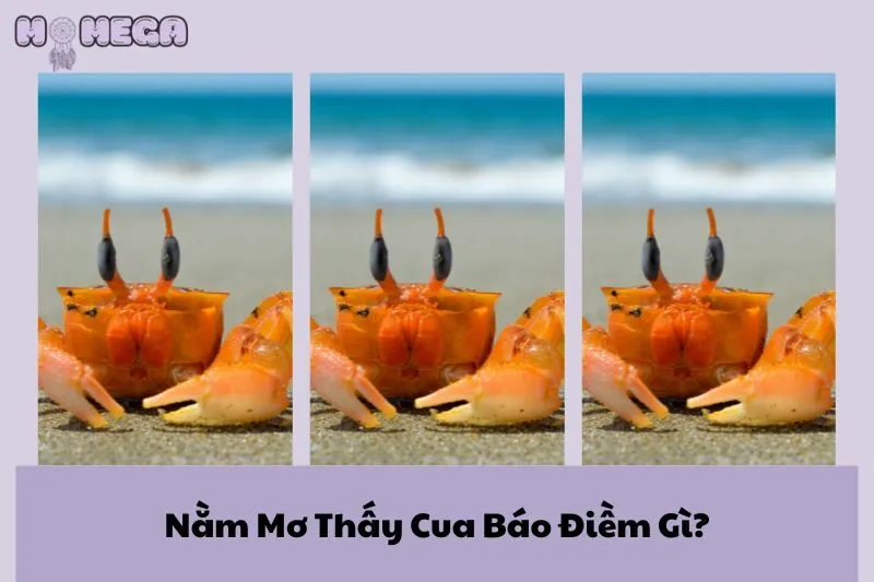 nam-mo-thay-cua-bao-diem-gi-giai-ma-y-nghia-va-con-so-may-man