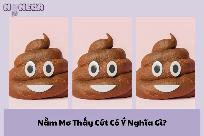 nam-mo-thay-cut-co-y-nghia-gi-diem-bao-tot-hay-xau