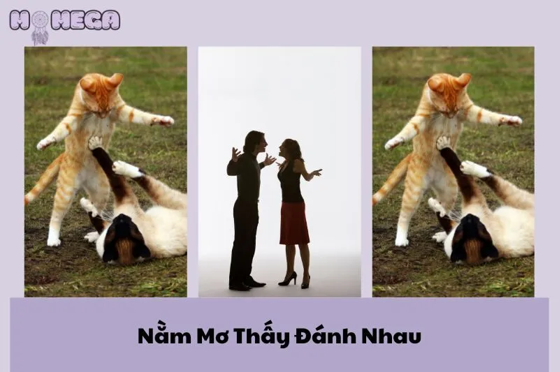 nam-mo-thay-danh-nhau-giai-ma-y-nghia-va-con-so-may-man
