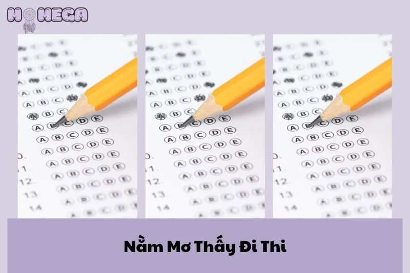 nam-mo-thay-di-thi-giai-ma-y-nghia-va-diem-bao-chinh-xac-nhat
