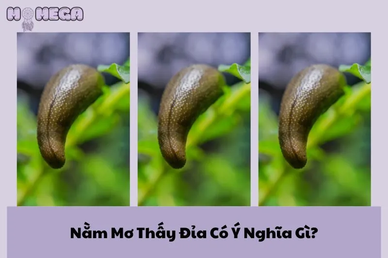 nam-mo-thay-dia-co-y-nghia-gi-giai-ma-chi-tiet-tung-truong-hop