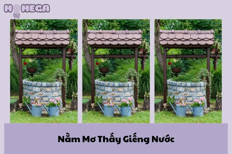 nam-mo-thay-gieng-nuoc-mang-den-diem-bao-gi-giai-ma-tu-a-den-z