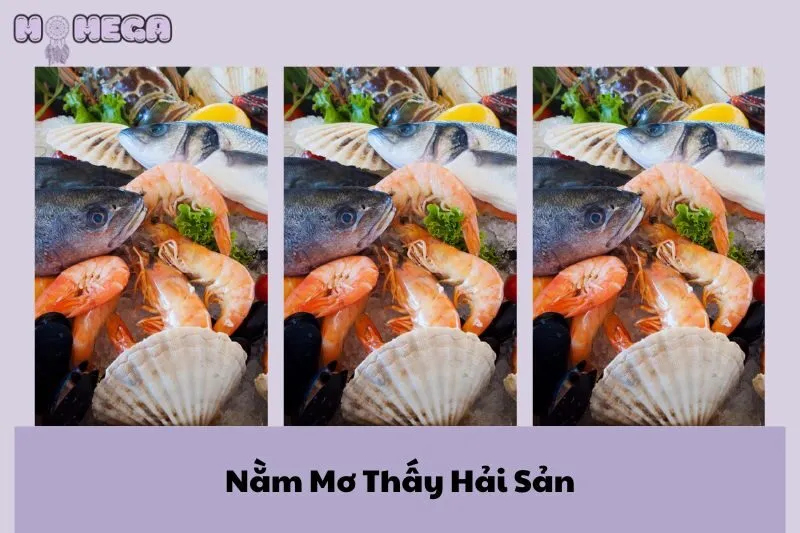 nam-mo-thay-hai-san-giai-ma-diem-bao-va-y-nghia-thuc-su
