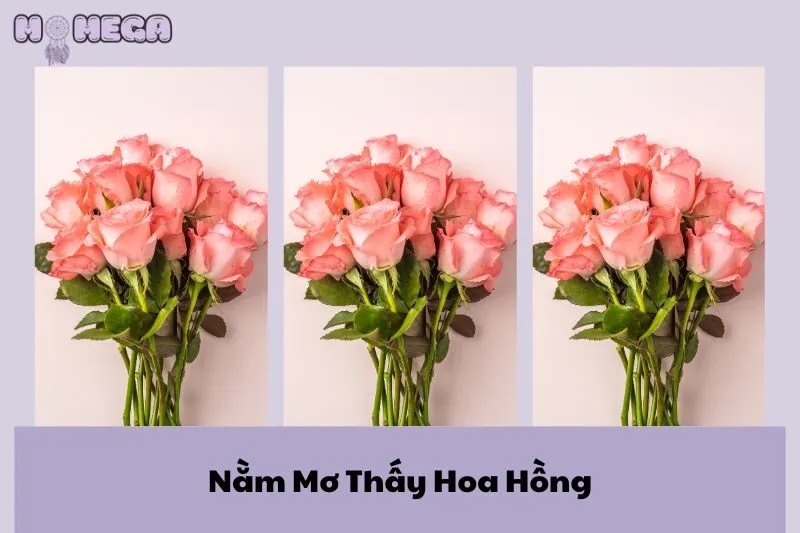 nam-mo-thay-hoa-hong-giai-ma-diem-bao-tinh-yeu-va-cuoc-song