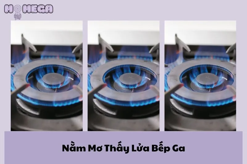 nam-mo-thay-lua-bep-ga-y-nghia-diem-bao-va-con-so-may-man