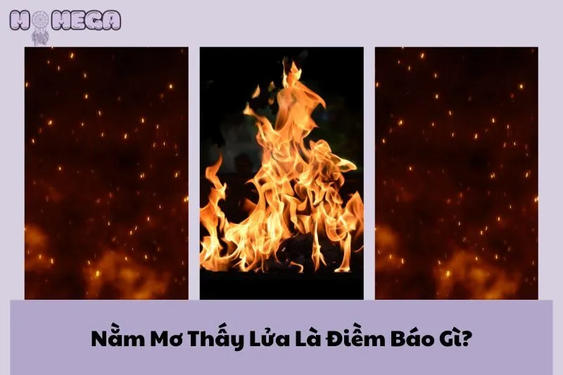 nam-mo-thay-lua-la-diem-bao-gi-giai-ma-giac-mo-thay-lua-chi-tiet