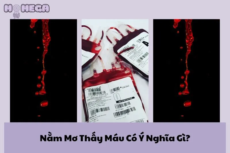 nam-mo-thay-mau-co-y-nghia-gi-diem-bao-va-con-so-may-man