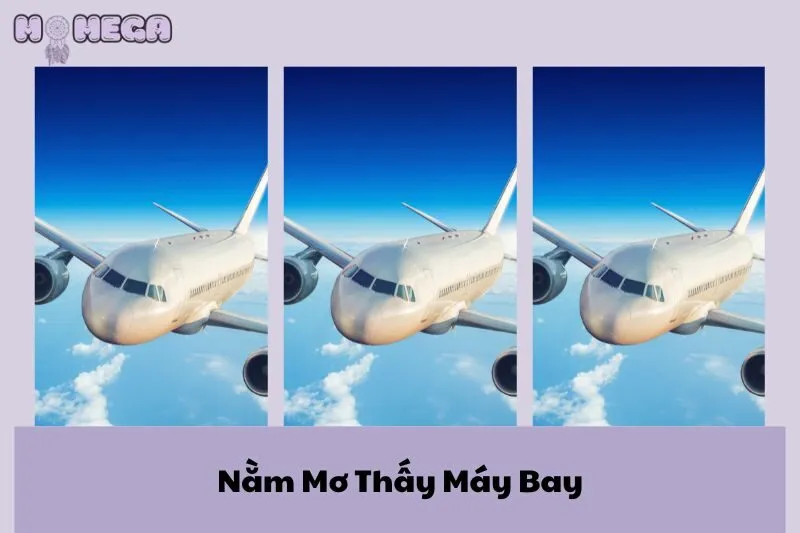 nam-mo-thay-may-bay-giai-ma-y-nghia-va-diem-bao-cho-cuoc-song