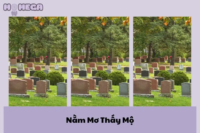 nam-mo-thay-mo-giai-ma-diem-bao-tot-xau-va-y-nghia-sau-sac
