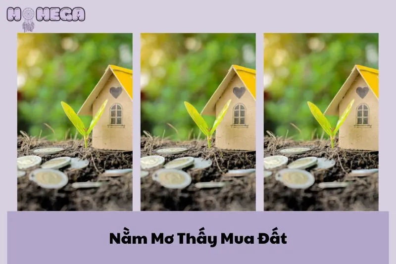 nam-mo-thay-mua-dat-la-diem-tot-hay-xau-kham-pha-ngay