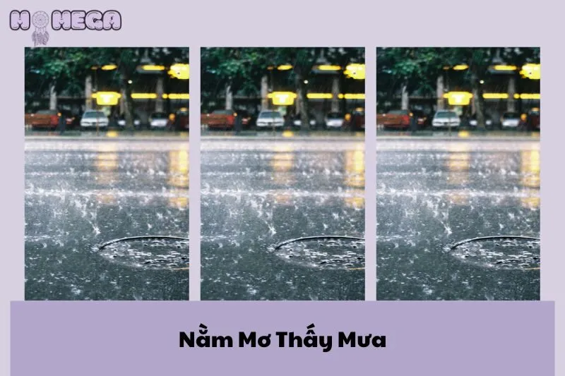 nam-mo-thay-mua-giai-ma-diem-bao-va-con-so-may-man-danh-cho-ban