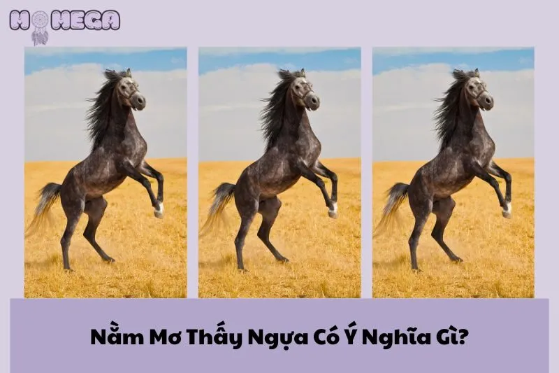 nam-mo-thay-ngua-co-y-nghia-gi-giai-ma-giac-mo-ve-ngua