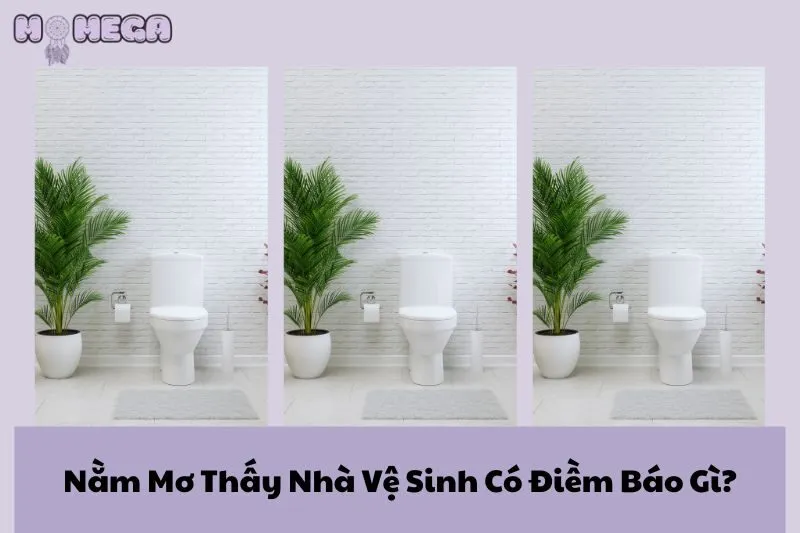 nam-mo-thay-nha-ve-sinh-co-diem-bao-gi-giai-ma-chi-tiet