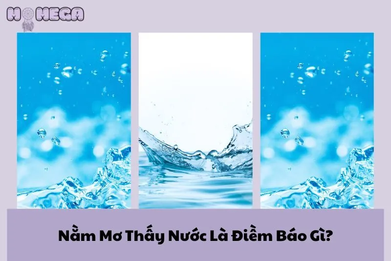 nam-mo-thay-nuoc-la-diem-bao-gi-kham-pha-y-nghia-tung-loai-giac-mo