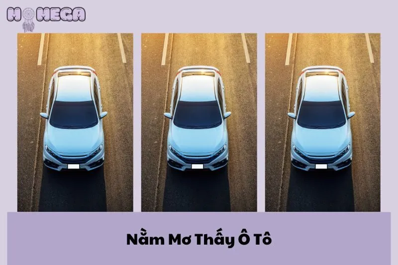 nam-mo-thay-o-to-giai-ma-y-nghia-va-diem-bao-tu-momega