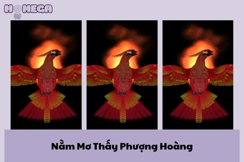 nam-mo-thay-phuong-hoang-y-nghia-va-nhung-diem-bao-quan-trong
