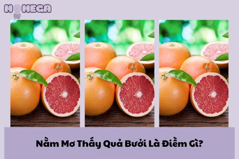 nam-mo-thay-qua-buoi-la-diem-gi-giai-ma-chi-tiet-va-con-so-may-man