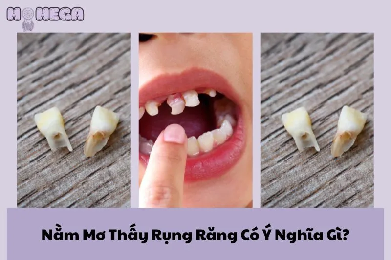 nam-mo-thay-rung-rang-co-y-nghia-gi-loi-giai-ma-chinh-xac-khoa-hoc