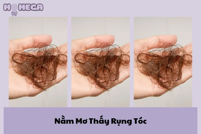 nam-mo-thay-rung-toc-diem-bao-gi-y-nghia-tot-hay-xau
