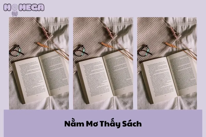 nam-mo-thay-sach-y-nghia-diem-bao-con-so-may-man