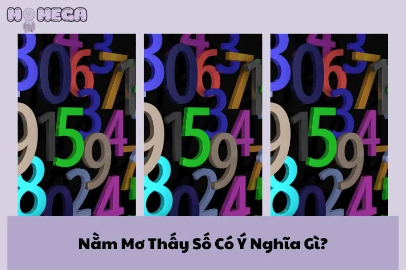 nam-mo-thay-so-co-y-nghia-gi-giai-ma-giac-mo-va-diem-bao-tu-con-so