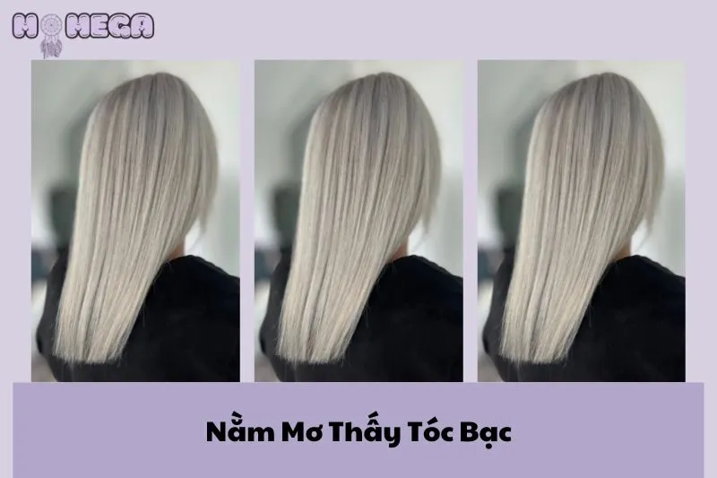 nam-mo-thay-toc-bac-giai-ma-diem-bao-va-y-nghia-suc-khoe