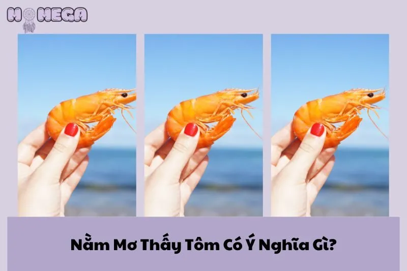 nam-mo-thay-tom-co-y-nghia-gi-kham-pha-diem-bao-qua-tung-giac-mo